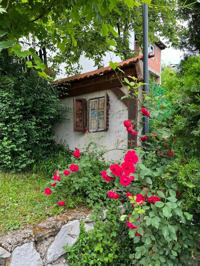 Queen Appartement Visoko Buitenkant foto